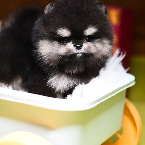 ย้ายบ้านแล้ว