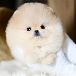 ย้ายบ้านแล้ว