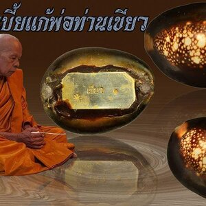 เบี้ยแก้(ด้านในตัวเบี้ยใสปรอทป่า อุดด้วยชันณงค์) - พ่อท่านเขียว(หลวงพ่อเขียว) วัดห้วยเงาะ