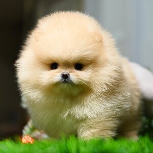 ย้ายบ้านแล้ว ผช