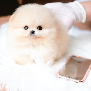 ย้ายบ้านแล้ว ผช