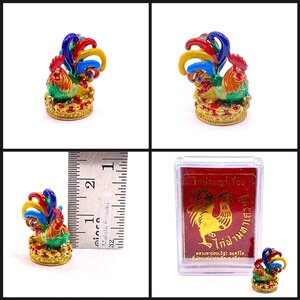 ไก่ฟ้าพญาเลี้ยง ไก่ฟ้ามหาเศรษฐี (เนื้อมหาชนวนลงยาสีอีนาเมลหางรุ้ง) หลวงตาน้อย สำนักสงฆ์ป่าปวงตึก หลวงปู่ศิลา (หลวงปู่มหาศิลา)