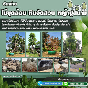 สวนหิน โทร 062-1596623 รับจัดสวน น้ำตกหินเทียม จัดสวนหน้าบ้าน ทำน้ำตก ปูหญ้า จัดสวนหย่อม