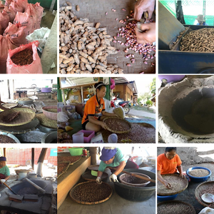 ถั่วลายเสือ ep.4 (กระบวนการผลิตถั่วลายเสือแม่ฮ่องสอน(แปรรูป))