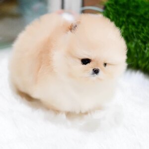 ย้ายบ้านแล้ว