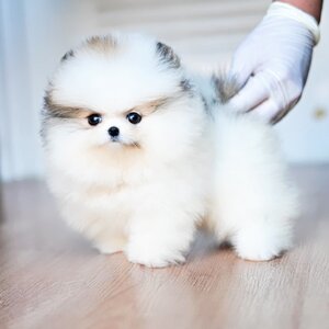 ย้ายบ้านแล้ว