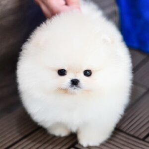 ย้ายบ้านแล้ว