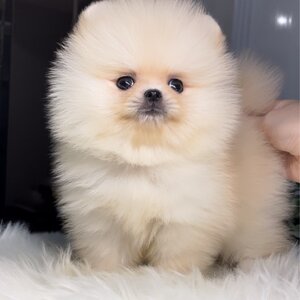 ย้ายบ้านแล้ว