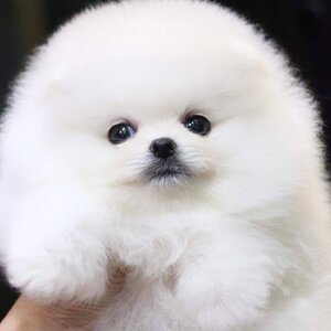 ย้ายบ้านแล้ว ผญ