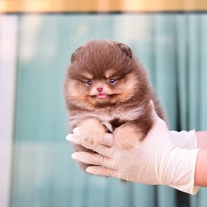 ย้ายบ้านแล้ว ผญ