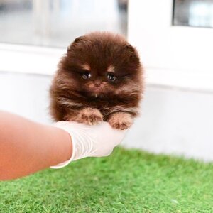 ย้ายบ้านแล้ว