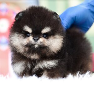 ย้ายบ้านแล้ว