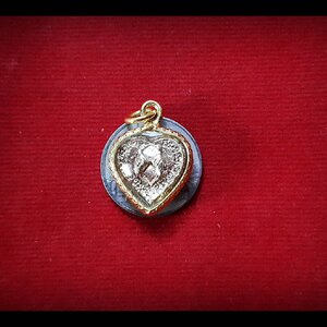 เหรียญ นกสาริคู่ ทรงหัวใจ (เสน่ห์เมตตามหานิยมเหมือนเสียงนกรักกัน) (พร้อมเลี่ยมใส่กรอบกันน้ำ) เนื้อทองทิพย์ - หลวงพ่อตี้ วัดหูช้าง