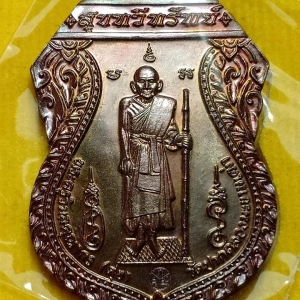 เหรียญหลวงปู่ศุข วัดปากคลองมะข่ามเฒ่า รุ่น สุขทวีทรัพย์ 2561