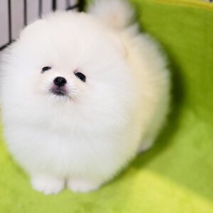 ย้ายบ้านแล้ว ผช