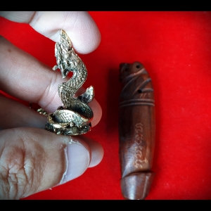 พญานาค นาคราชบัลลังค์ หลวงพ่อหนุน วัดพุทธโมกข์