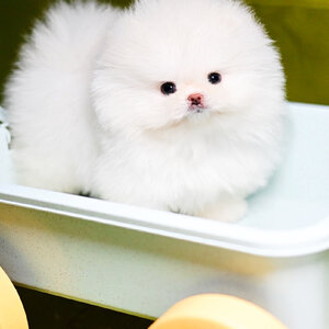 ย้ายบ้านแล้ว