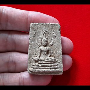 พระพุทธชินราช หลัง หลวงพ่อยงยุทธ ครึ่งองค์ เนื้อผง(ผสมผง หลวงพ่อแก้ว วัดเครือวัลย์) ปี2538 #รับประแท้และทัน - หลวงพ่อยงยุทธ วัดเขาไม้แดง จ.ชลบุรี