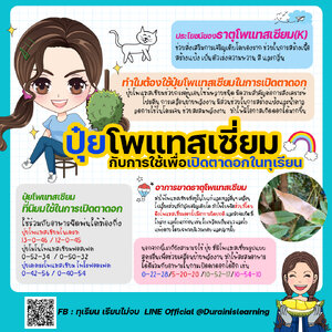 ปุ๋ยโพแทสเซียมกับการใช้เพื่อเปิดตาอกทุเรียน