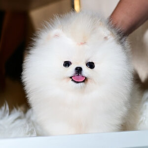 ย้ายบ้านแล้ว