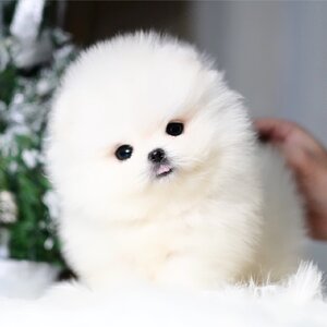 ย้ายบ้านแล้ว