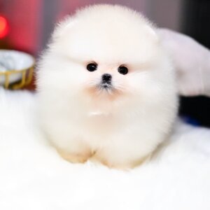 ย้ายบ้านแล้ว