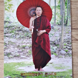 รูปภาพ ครูบากฤษดา วัดสันพระเจ้าแดง(วัดป่ายาง) (กางร่ม ร่มเย็นเป็นสุข) (ขนาด8x10นิ้ว) #รับประกันแท้