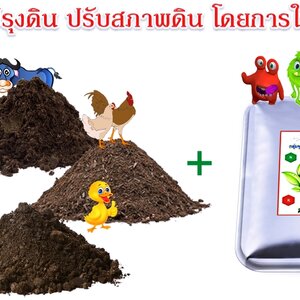 ปุ๋ยคอกมูลวัว 080-3296882 จำหน่ายปุ๋ยคอก ขี้วัวนม ปุ๋ยขี้หมู ขี้ไก่ล้วน ขี้ไก่แกลบ มูลวัว จัดส่งทั่วประเทศ