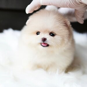 ย้ายบ้านแล้ว ผญ