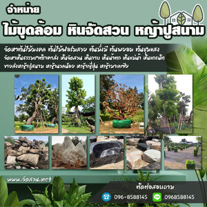 หินทราย โทร 096-8588145 หินธรรมชาติจัดตกแต่งสวน หินกาบ หินทราย หินเกล็ด หินแกรนิต