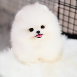 ย้ายบ้านแล้ว