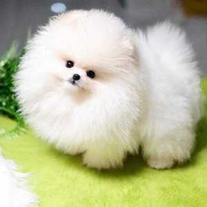 ย้ายบ้านแล้ว ผช