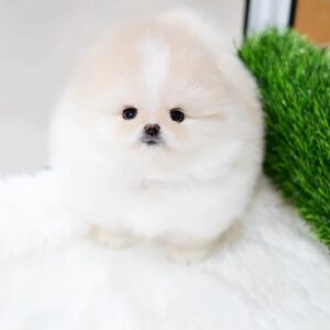 ย้ายบ้านแล้ว