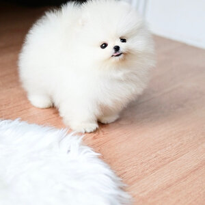 ย้ายบ้านแล้ว