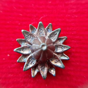 ดอกพิกุล พรอมรินทร์ (ดอกไม้สวรรค์ในสวนของพระอินทร์) เนื้อชนวน นวะโลหะ ปี2565 #รับประกันแท้ - พระอาจารย์ชลเทพ(พระอาจารย์เอราวัณ)