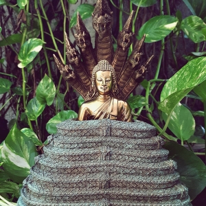 รูปหล่อ พระพุทธเจ้า ปางพระนาคปรก (พญานาค7หัว) เนื้อทองเหลือง ปี2562 (พระหน้าตัก5นิ้ว ฐาน7นิ้ว สูง8นิ้ว) (เทคนิคสำสีเก่า แยกส่วนประกอบได้) #รับประกันแท้ หลวงพ่อเล็ก วัดท่าขนุน ร่วมพิธีปลุกเสกรวมพระลูกศิษย์ในสายของหลวงพ่อฤาษี วัดท่าซุง ณ วัดเขาวงศ์ จ.สระบุร