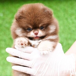 ย้ายบ้านแล้ว ผช