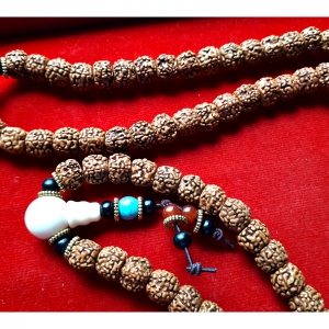 ประคํา น้ำตาพระศิวะ เมล็ดรุทรักษะ สร้อยคอ และ ข้อมือ ของแท้นำเข้าจาก อินเดีย (ขายปลีก ขายส่ง)