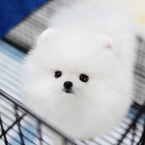 ย้ายบ้านแล้ว