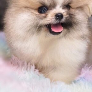 ย้ายบ้านแล้ว ผช