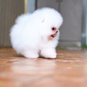 ย้ายบ้านแล้ว