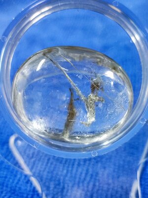 แก้วโป่งข่าม