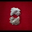 เหรียญปลาอานนท์ (พลิกชีวิตหนุนเสริมดวงชะตา ร้ายกลายเป็นดี) รุ่นแรก ปี2561 #รับประกันแท้ - (หลวงพ่อเล็ก วัดท่าขนุน หลวงพ่อใจ วัดพระยาญาติ ปลุกเสก)