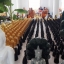 หลวงพ่อเจ็ดกษัตริย์ พระพุทธสิริสัตตราช ( พระบูชา ปางพระนาคปรก ขนาดหน้าตัก 4นิ้ว เนื้อโลหะชนวน รมดำ )