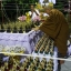 กุมารทอง อมตฤทธิ์ เนื้อทองเหลือง อุดมวลสาร ปี2559 (ขนาดตั้งบูชา หน้าตัก4นิ้ว สูง7นิ้ว) - (หลวงพ่อรักษ์ หลวงปู่ยวง ปลุกเสก)