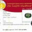 แหวนเขียวส่องแท้ เงินแท้925 ชุบทองคำขาว แหวนพลอยแท้