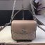 Cassie Crossbody 19 (แอดไลน์ก่อนสั่งซื้อ)