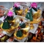 พานพุ่ม บายศรี พานครู ขันธ์5 ไหว้ครู ขอขมา ไหว้พระ บูชาพระ