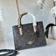 Coach Maggie Small Tote Bag (แอดไลน์ก่อนสั่งซื้อ)