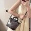 Goyard Beluga Mini Bag (แอดไลน์ก่อนสั่งซื้อ)